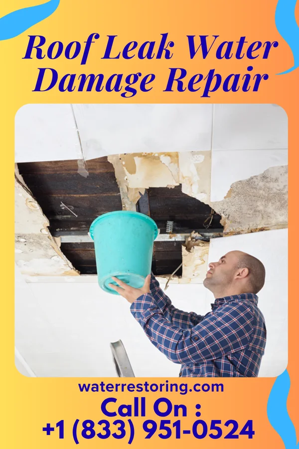 Roof Leak Water Damage Repair in Thornburg, PA