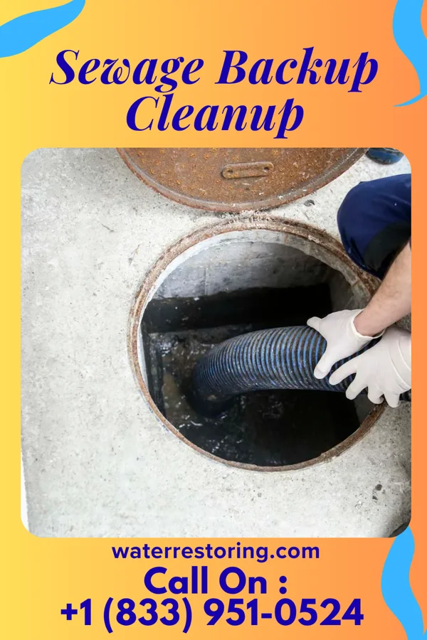 Sewage Backup Cleanup in Thornburg, PA