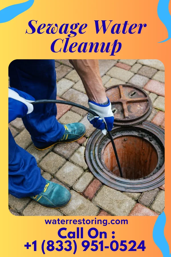 Sewage Water Cleanup in Thornburg, PA